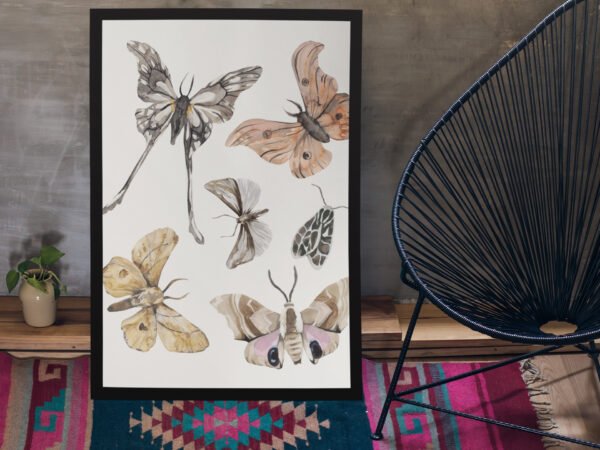 Moths Illustration Photo Frame